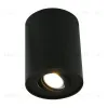 Потолочный светильник Arte Lamp A5644PL-1BK A5644PL-1BK - 1