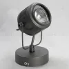 Спот Lussole Loft Haines LSP-8045 LSP-8045 - 4