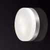 Потолочный светильник Odeon Light Presto 2405/1C 2405/1C - 2