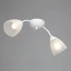 Потолочная люстра Vitaluce V3737-0/2PL V3737-0/2PL - 1