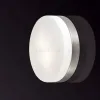 Настенный светильник Odeon Light Presto 2405/2C 2405/2C - 2