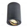 Потолочный светильник Arte Lamp A1560PL-1BK A1560PL-1BK - 1