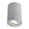 Потолочный светильник Arte Lamp A1560PL-1GY A1560PL-1GY - 1