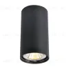Потолочный светильник Arte Lamp A1516PL-1BK A1516PL-1BK - 1