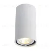 Потолочный светильник Arte Lamp A1516PL-1WH A1516PL-1WH - 1