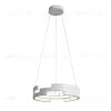 Подвесной светодиодный светильник ST Luce Genuine SL963.503.01 SL963.503.01 - 1