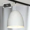 Трековый светильник однофазный Lussole LOFT Track Lights LSP-9891-TAB LSP-9891-TAB - 1