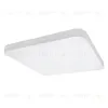 Потолочный светодиодный светильник Lightstar Arco 226264 226264 - 1