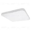 Потолочный светодиодный светильник Lightstar Arco 226262 226262 - 1