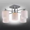 Потолочная люстра Omnilux Pisticci OML-55307-05 OML-55307-05 - 3