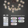 Потолочная люстра Bogates Pallina 544 Smart 00000086052 544 Smart - 5