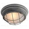 Потолочный светильник Lussole Loft GRLSP-9881 GRLSP-9881 - 1