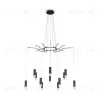 Подвесная люстра Maytoni Davida MOD035PL-12B MOD035PL-12B - 2