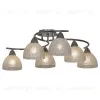 Потолочная люстра Lussole Zungoli GRLSF-1603-06 GRLSF-1603-06 - 1