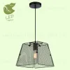 Подвесной светильник Lussole Lgo Bossier GRLSP-8273 GRLSP-8273 - 5