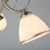 Потолочная люстра Omnilux Alimini OML-25307-03 OML-25307-03 - 5