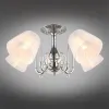 Потолочная люстра Omnilux Leonessa OML-29127-05 OML-29127-05 - 3