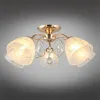 Потолочная люстра Omnilux Caldiero OML-29007-05 OML-29007-05 - 3