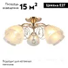 Потолочная люстра Omnilux Caldiero OML-29007-05 OML-29007-05 - 2