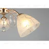 Потолочная люстра Omnilux Caldiero OML-29007-05 OML-29007-05 - 6