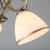 Потолочная люстра Omnilux Alimini OML-25307-05 OML-25307-05 - 4