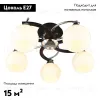 Потолочная люстра Omnilux Caldiero OML-25407-05 OML-25407-05 - 2