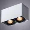 Потолочный светильник Arte Lamp Pictor A5654PL-2WH A5654PL-2WH - 3
