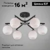 Потолочная люстра Eurosvet Blasco 30145/6 хром/венге 30145/6 хром/венге - 4