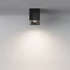 Потолочный светильник Maytoni Sirius C030CL-01B C030CL-01B - 6