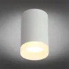 Потолочный светильник Omnilux Rotondo OML-100709-01 OML-100709-01 - 3