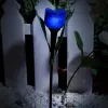 Светильник на солнечных батареях (UL-00004279) Uniel Promo USL-C-454/PT305 Blue Tulip USL-C-454/PT305 Blue Tulip - 3