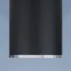 Потолочный светильник Elektrostandard DLN101 GU10 BK черный 4690389135873 4690389135873 - 3