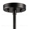 Люстра на штанге Lightstar 816047 816047 - 4