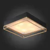 Накладная люстра ST-Luce SL1127.422.05 SL1127.422.05 - 3