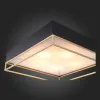 Накладная люстра ST-Luce SL1127.422.05 SL1127.422.05 - 6