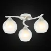 Накладная люстра Citilux CL152130 CL152130 - 3