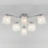 Накладная люстра Eurosvet 30162/6 хром 30162/6 хром - 1