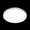 Накладной светильник Sonex 3014/DL 3014/DL - 5