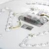 Накладной светильник Lussole Lgo Moonlight LSP-8312 LSP-8312 - 3