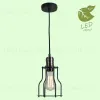 Подвесной светильник Lussole Loft Baldwin GRLSP-9610 GRLSP-9610 - 1