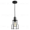 Подвесной светильник Lussole Loft Baldwin GRLSP-9610 GRLSP-9610 - 4