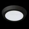 Уличный светильник Lightstar 216972 216972 - 2