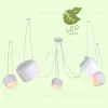 Подвесная люстра Lussole Loft Shirley GRLSP-8175 GRLSP-8175 - 5