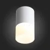 Накладной светильник ST Luce ST100.502.10 ST100.502.10 - 4