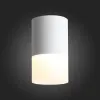 Накладной светильник ST Luce ST100.502.10 ST100.502.10 - 3