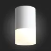 Накладной светильник ST Luce ST100.502.05 ST100.502.05 - 3