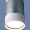 Накладной светильник Elektrostandard DLN110 GU10 белый/серебро 4690389148705 - 4