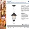 Уличный подвесной светильник Feron Вильнюс PL585 41166 41166 - 2