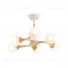 Потолочный светильник Freya Amy FR5105CL-06W FR5105CL-06W - 3