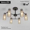 Потолочная люстра Eurosvet Amado 70115/6 черный 70115/6 черный - 2